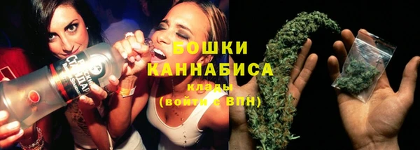 spice Вяземский