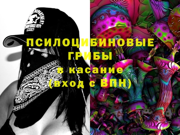 spice Вяземский