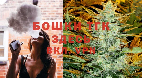 spice Вяземский