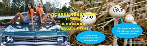 ешки Горняк