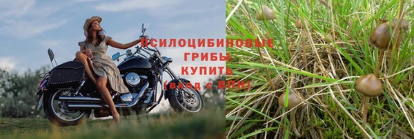 ешки Горняк