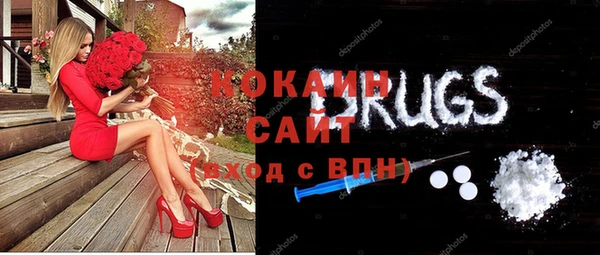 ешки Горняк