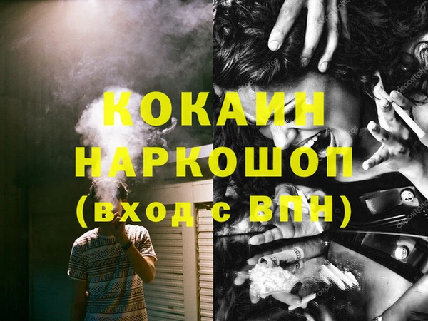ешки Горняк